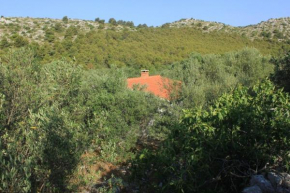 Secluded fisherman's cottage Cove Magrovica - Telascica, Dugi otok - 8122